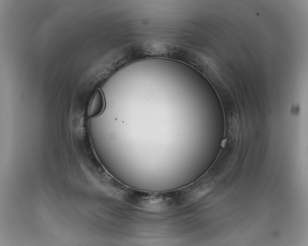 X0000089390267200706221324