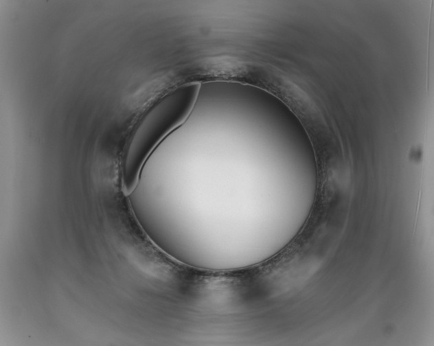 X0000089390268200706221324