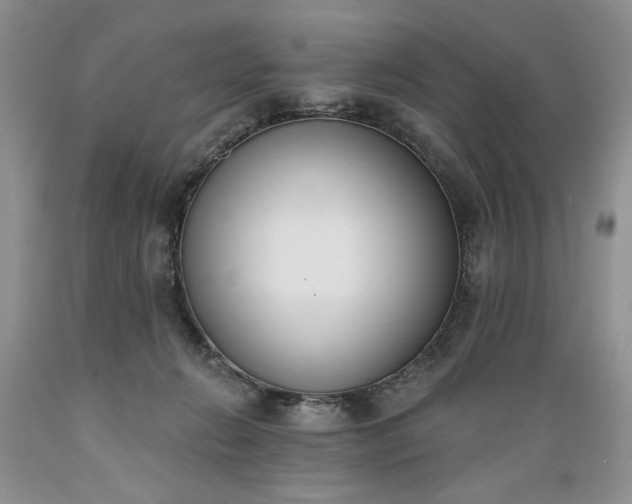 X0000089390270200706221324