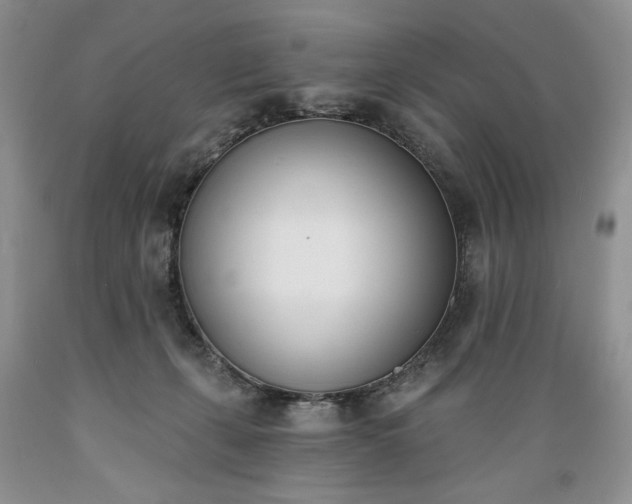 X0000089390271200706221324