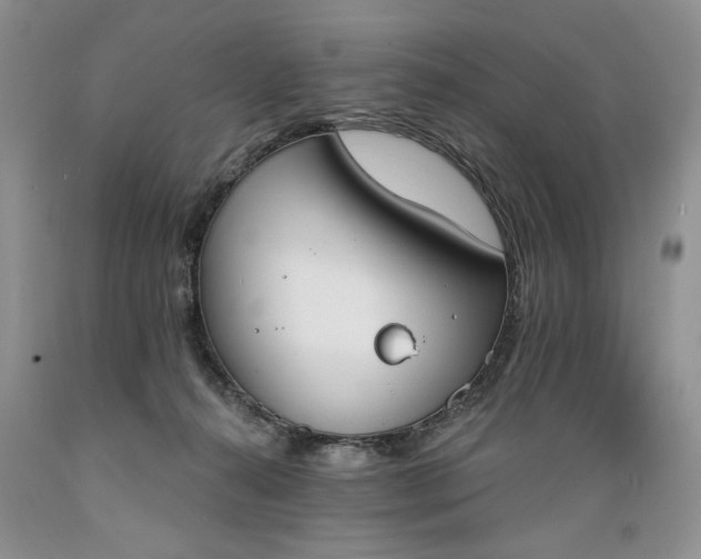 X0000089390272200706221324