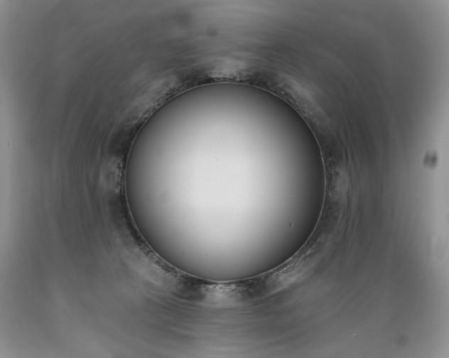 X0000089390273200706221324