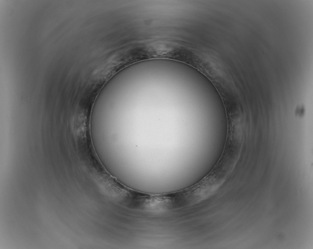 X0000089390274200706221324