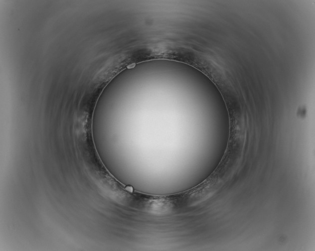 X0000089390275200706221324