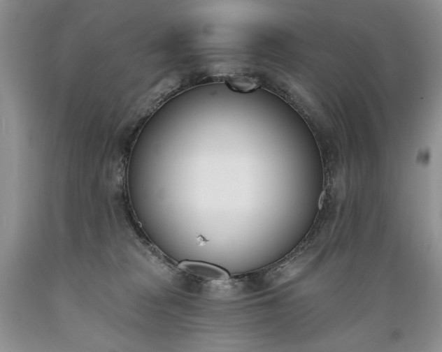 X0000089390277200706221324
