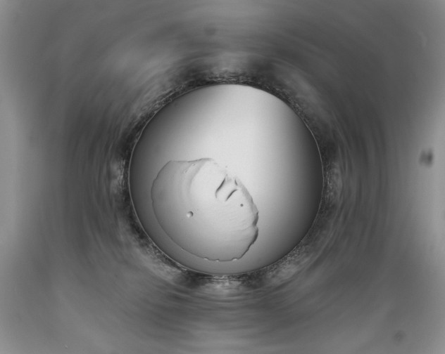 X0000089390278200706221325