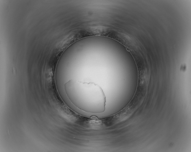 X0000089390279200706221325