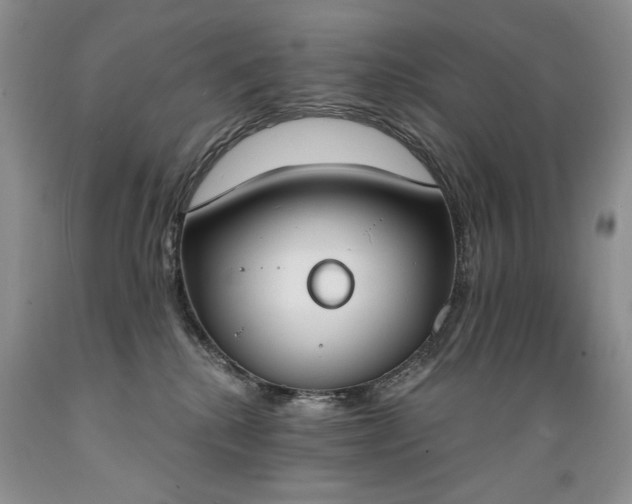 X0000089390280200706221325
