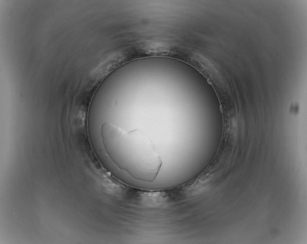 X0000089390281200706221325