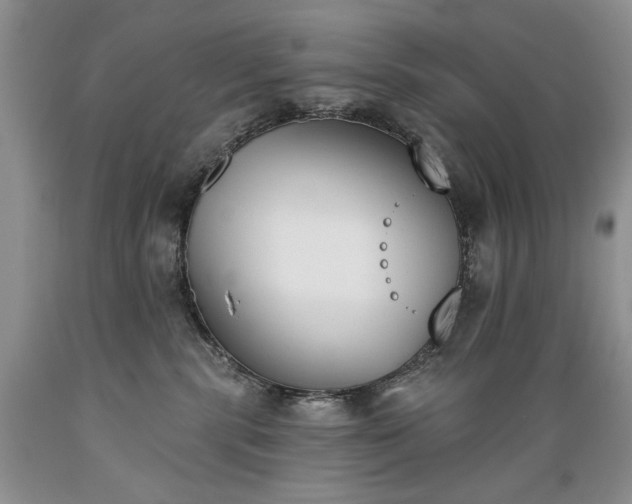 X0000089390283200706221325