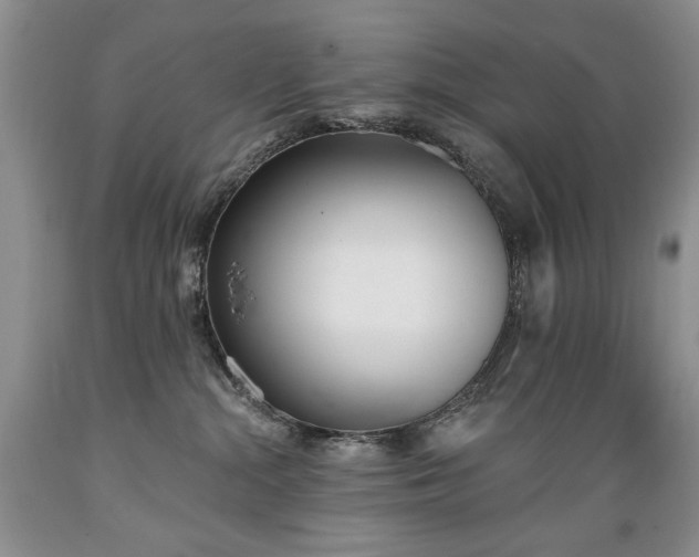 X0000089390284200706221325