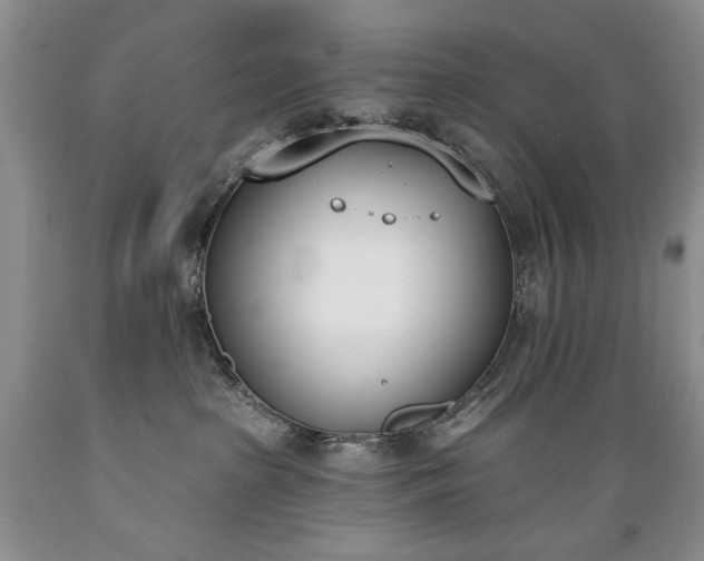 X0000089390285200706221325