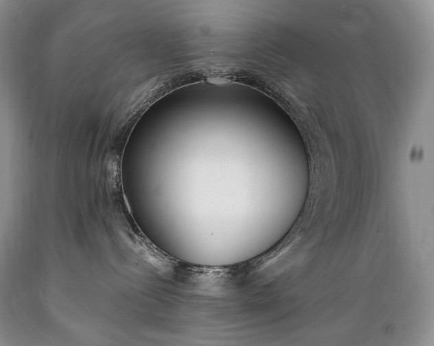 X0000089390288200706221325