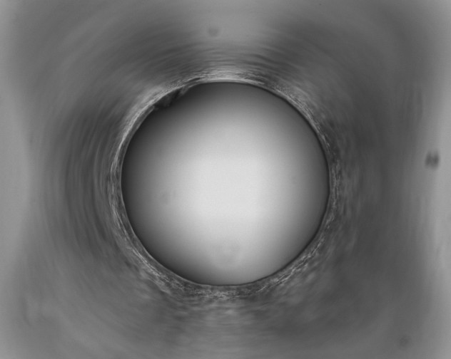 X0000089390289200706221324