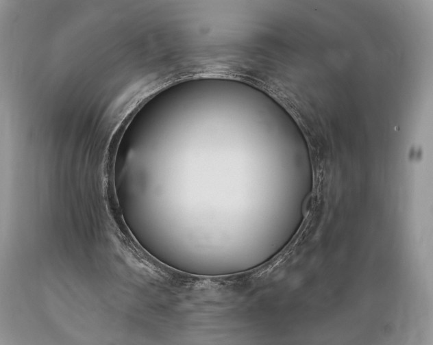 X0000089390290200706221324