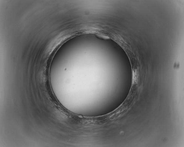 X0000089390291200706221324