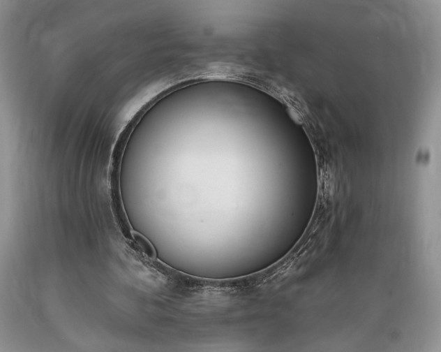 X0000089390292200706221324