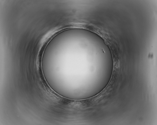 X0000089390294200706221324