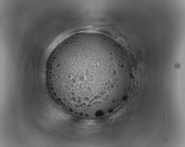 X0000089390295200706221324