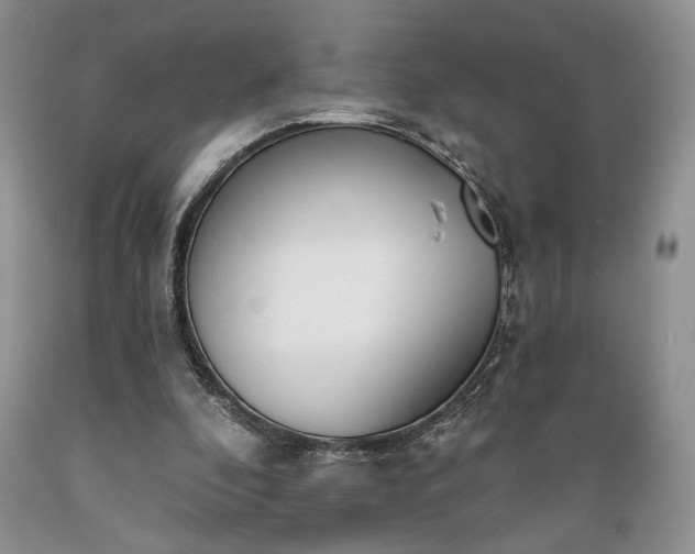 X0000089390296200706221324
