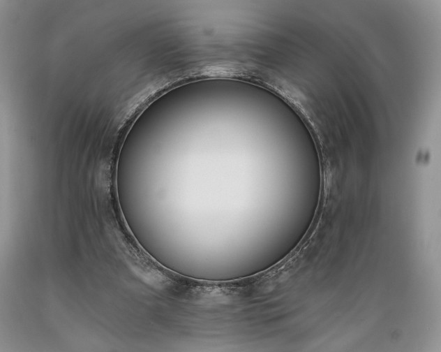 X0000089390297200706221324