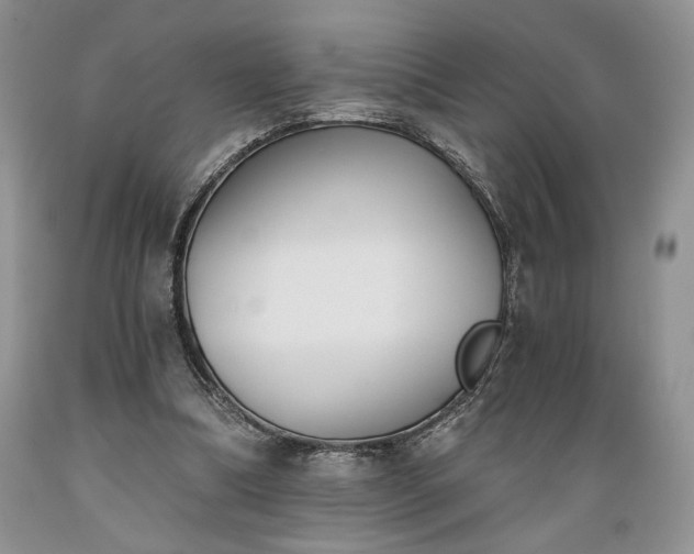 X0000089390298200706221324