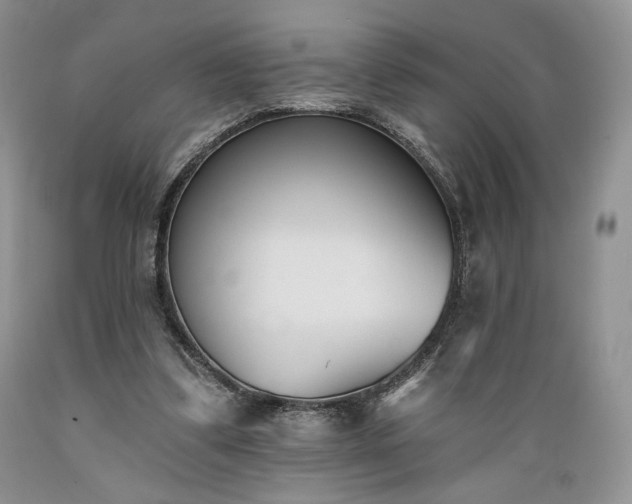 X0000089390299200706221324