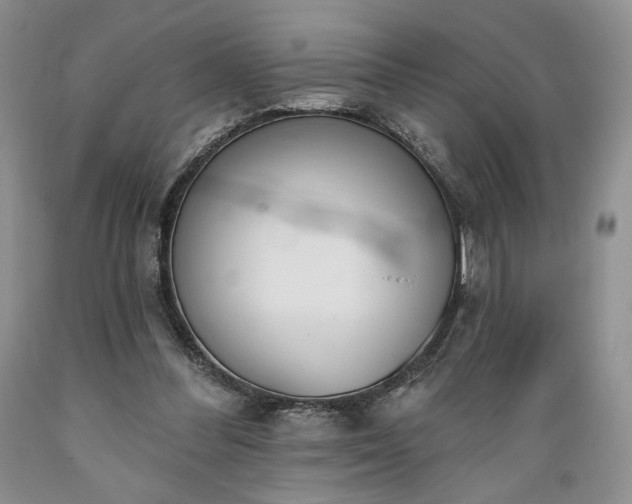X0000089390300200706221324