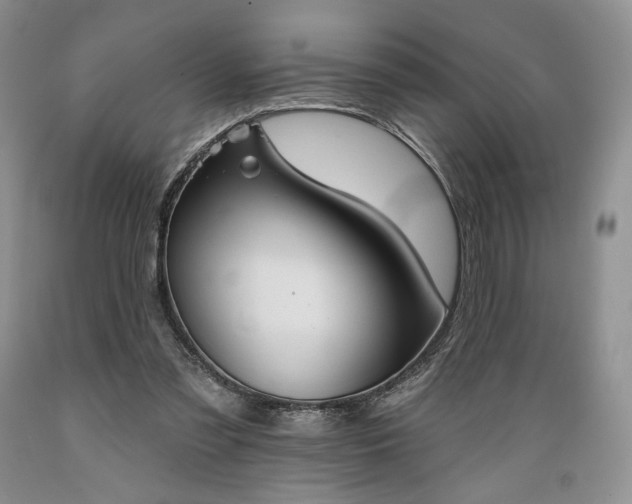X0000089390301200706221324