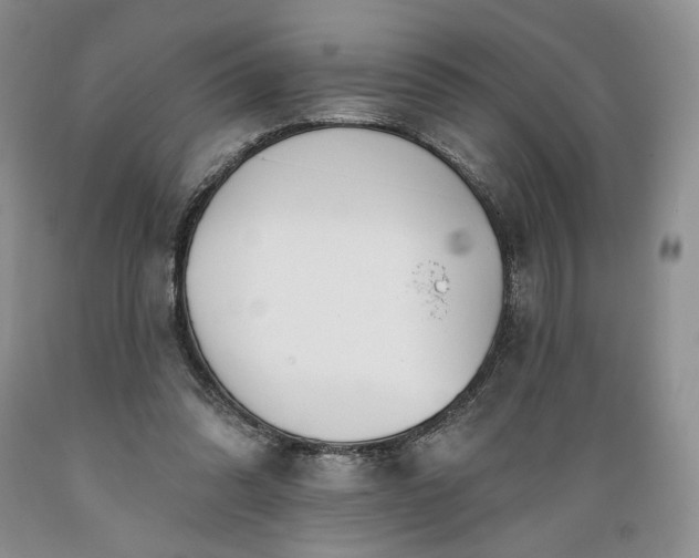 X0000089390302200706221324