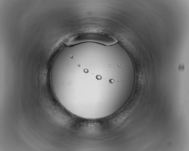 X0000089390304200706221324