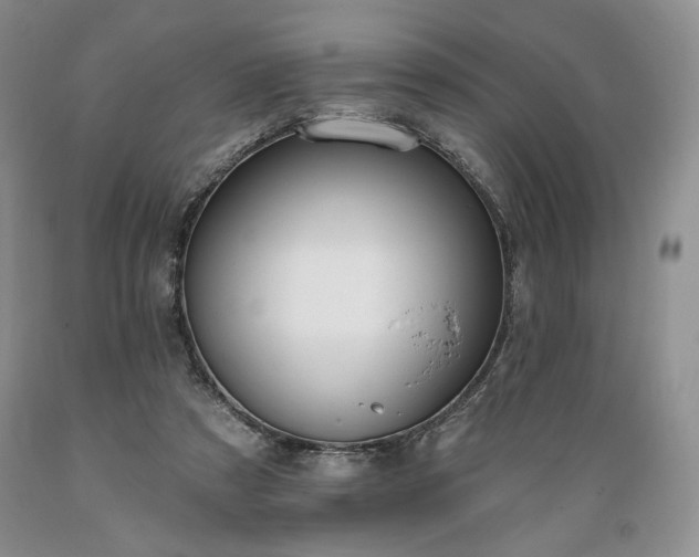 X0000089390305200706221324