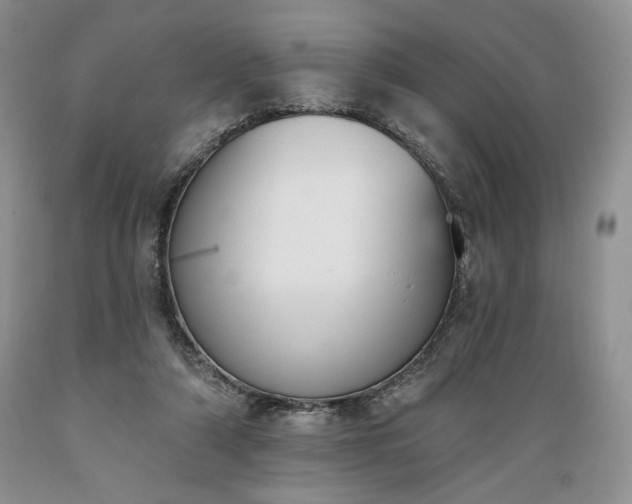 X0000089390306200706221324