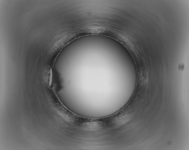 X0000089390307200706221324