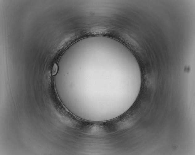 X0000089390308200706221324