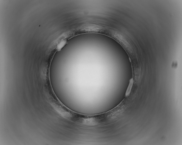 X0000089390309200706221324