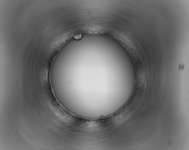 X0000089390310200706221324