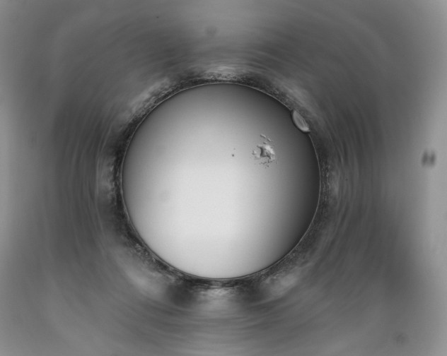 X0000089390312200706221323