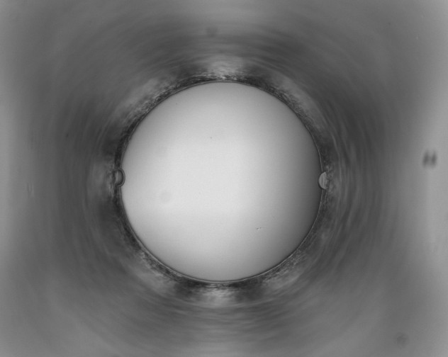 X0000089390313200706221323
