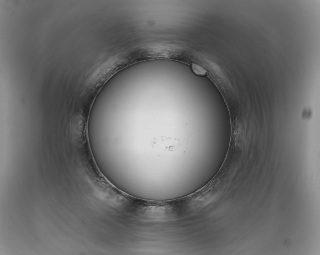 X0000089390314200706221323