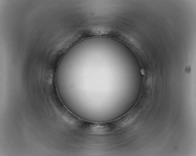 X0000089390315200706221323
