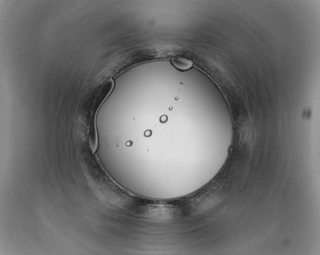 X0000089390316200706221323