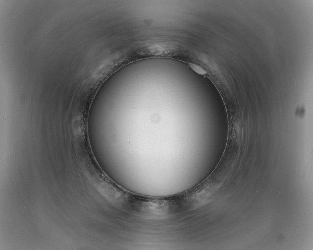 X0000089390317200706221323