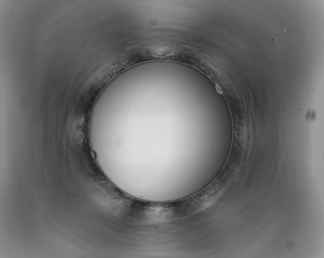 X0000089390319200706221323