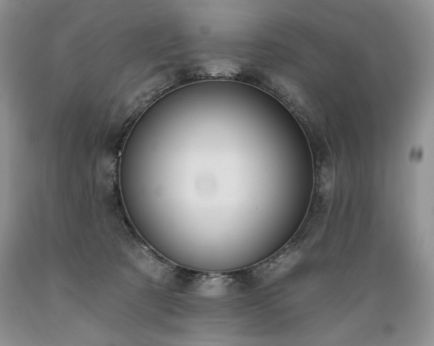 X0000089390321200706221323