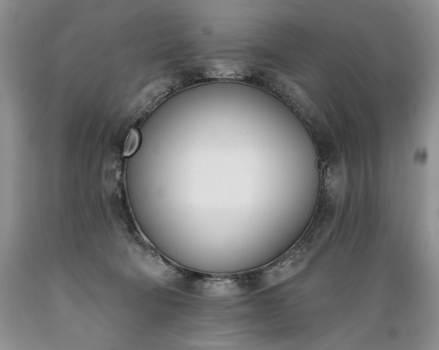X0000089390322200706221323