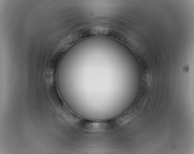 X0000089390323200706221323