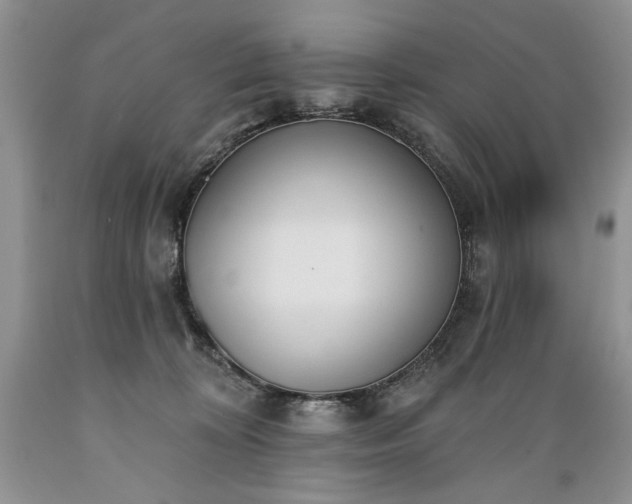X0000089390324200706221323