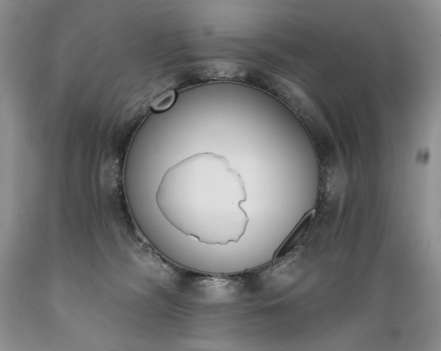X0000089390326200706221323