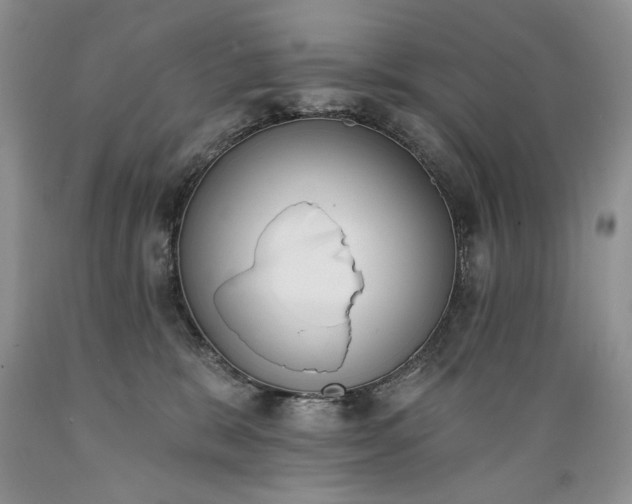 X0000089390327200706221323